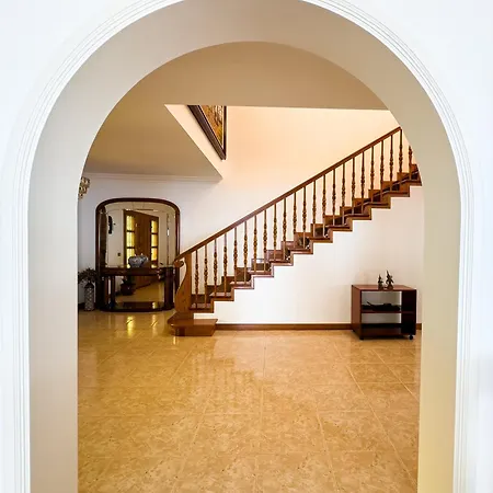 Willa Drago Tree Tenerife La Orotava