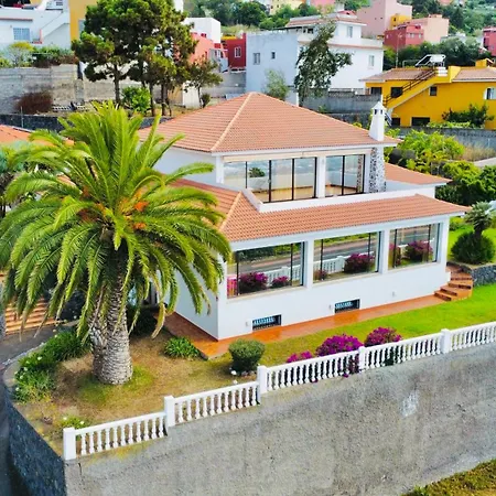 Drago Tree Tenerife