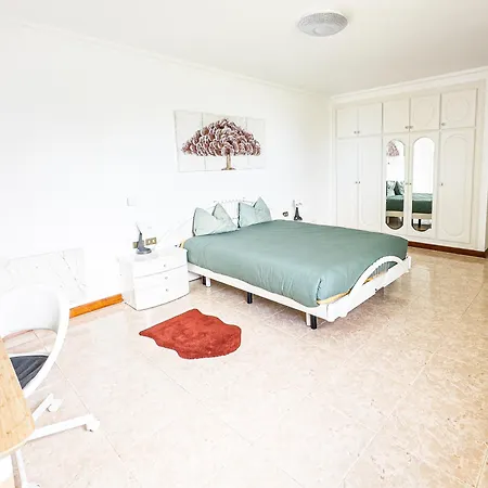 Dragon Tree With Heated Private Pool Tenerife