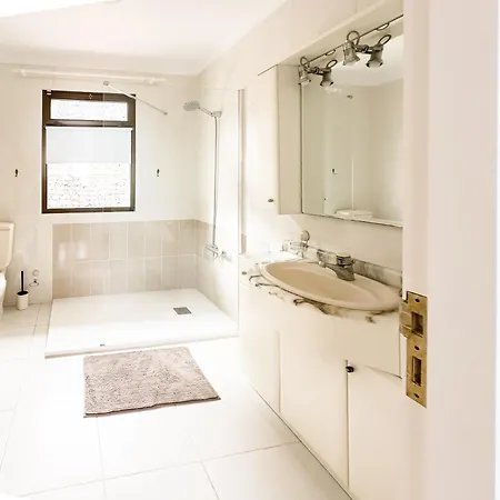 Drago Tree Tenerife *