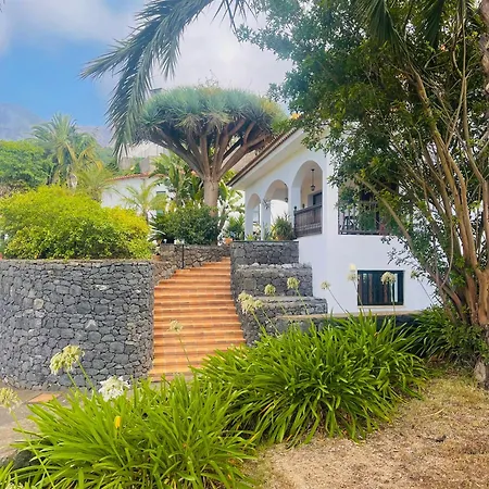 Drago Tree Tenerife 라오로타바