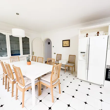 Drago Tree Tenerife *