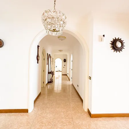 Drago Tree Tenerife La Orotava